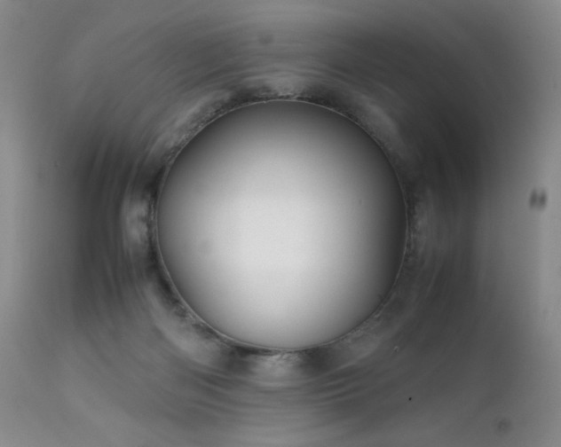 X0000111900122200907271207