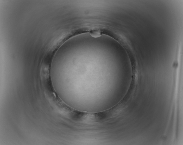 X0000111900123200907271207