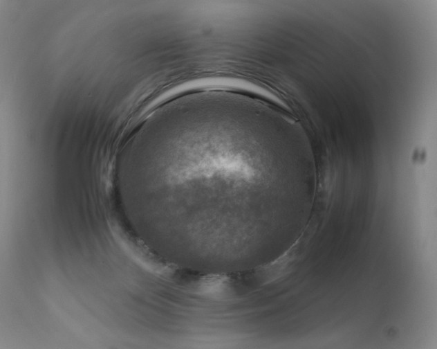 X0000111900124200907271207