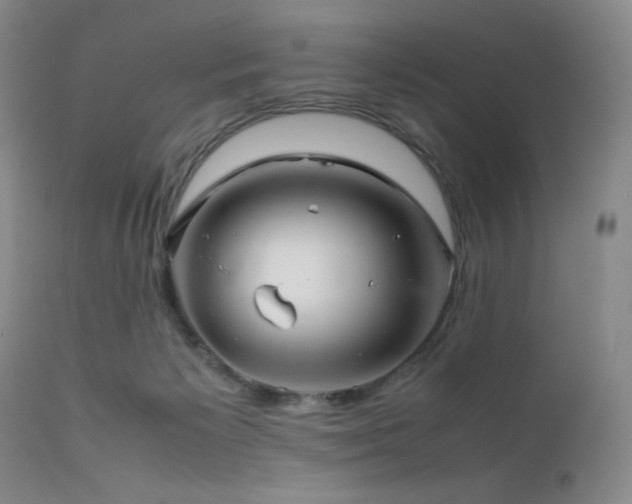 X0000111900125200907271207