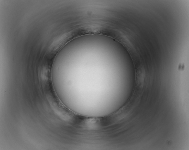 X0000111900126200907271207