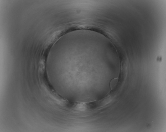 X0000111900127200907271207