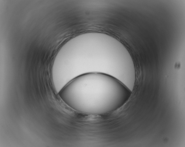 X0000111900128200907271207