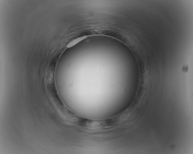 X0000111900129200907271207