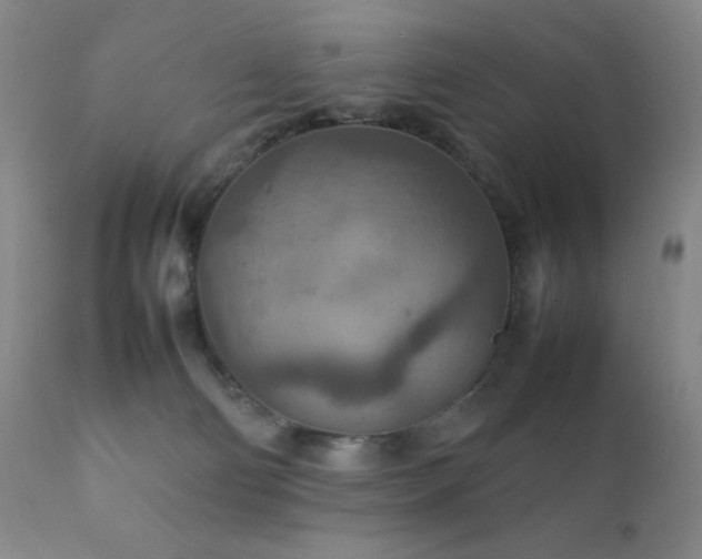 X0000111900130200907271207