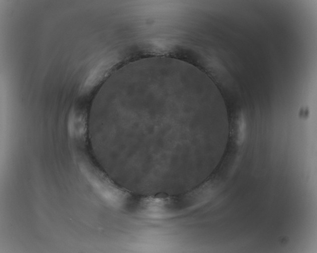 X0000111900131200907271207