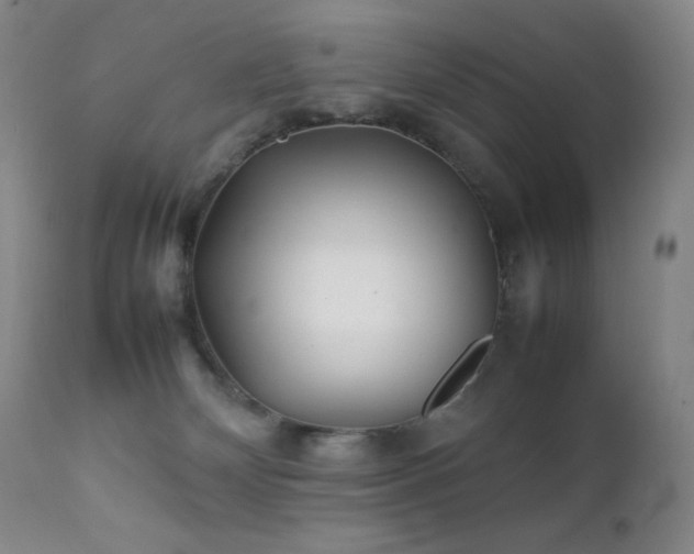 X0000111900132200907271207