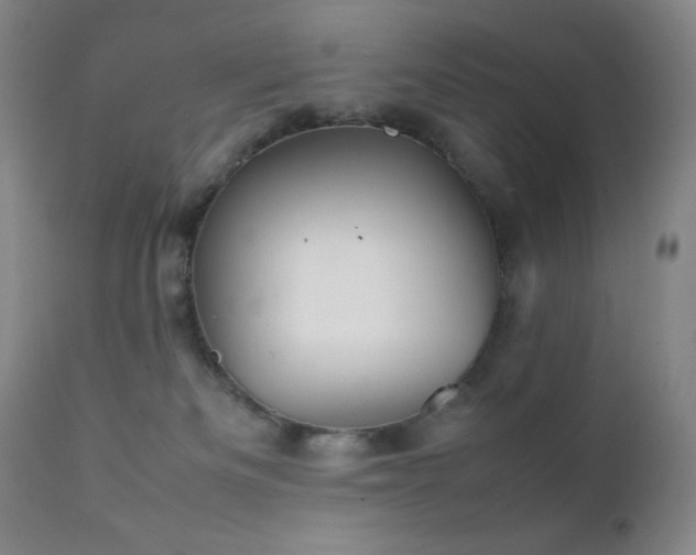 X0000111900133200907271207