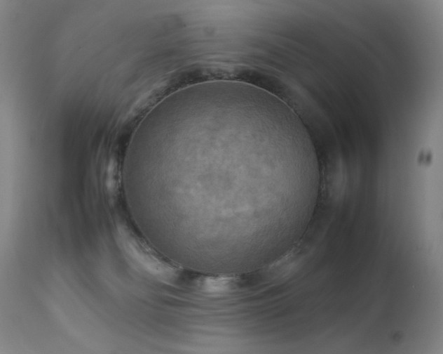 X0000111900134200907271207