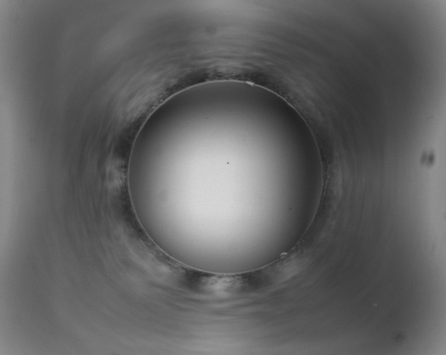 X0000111900135200907271207