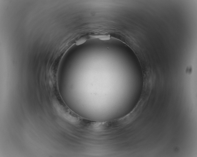 X0000111900136200907271207