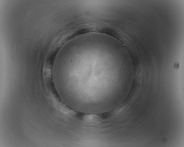 X0000111900137200907271207