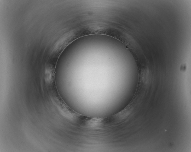 X0000111900138200907271207