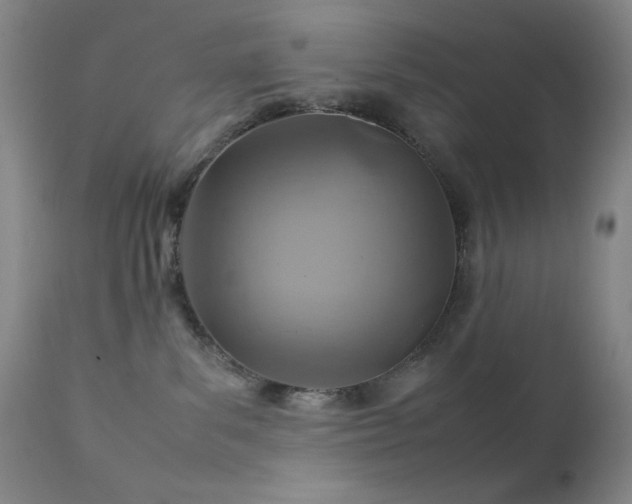 X0000111900139200907271207