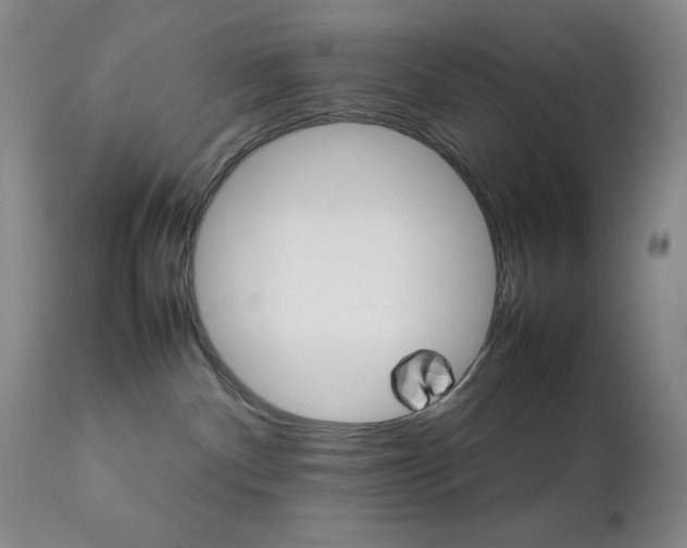 X0000111900140200907271207