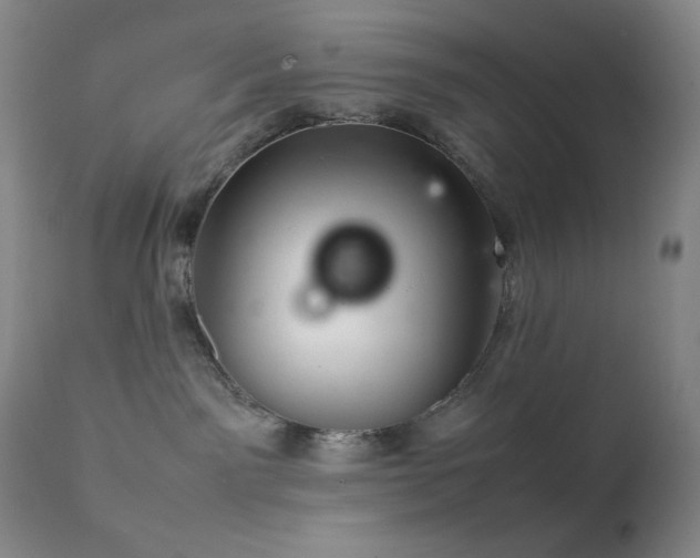 X0000111900141200907271207