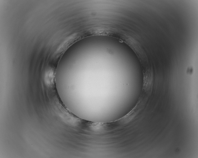 X0000111900142200907271207