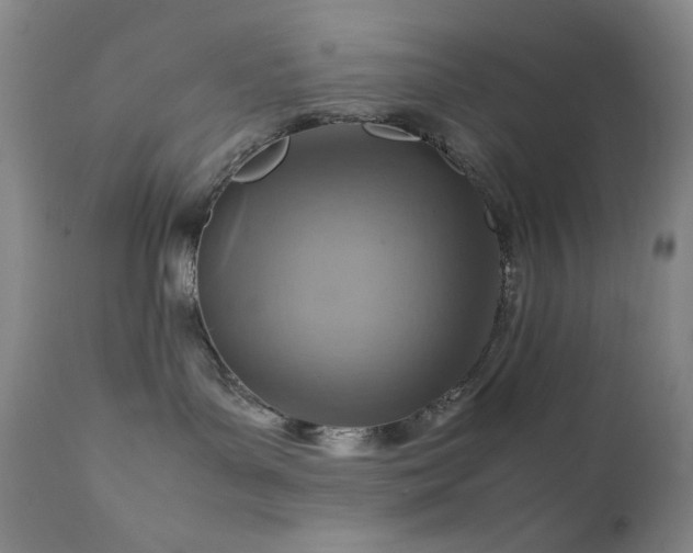 X0000111900143200907271207