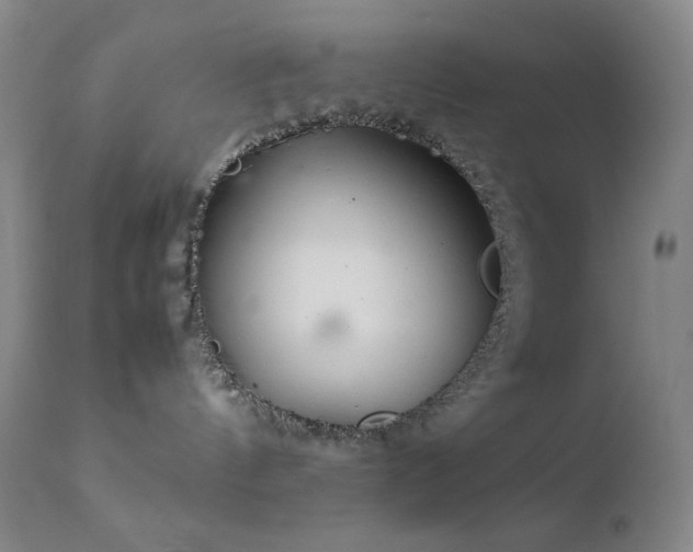 X0000111900144200907271207