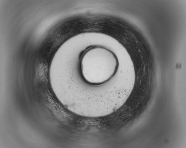 X0000111900146200907271206