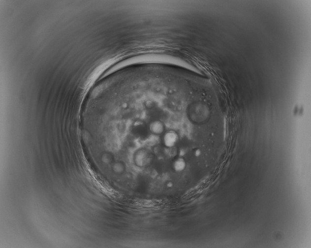 X0000111900147200907271206