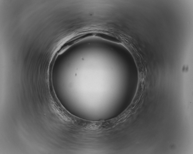 X0000111900148200907271206