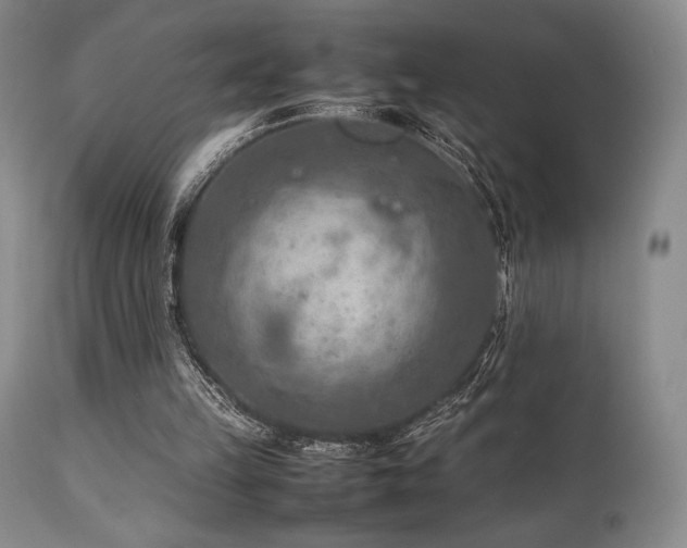 X0000111900149200907271206