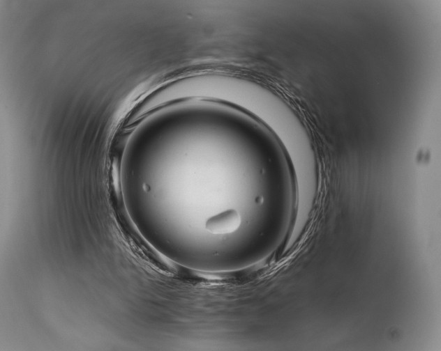 X0000111900150200907271206