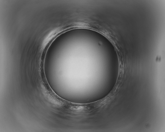 X0000111900151200907271206