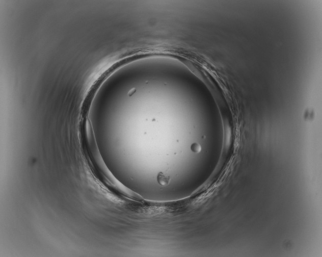 X0000111900152200907271206