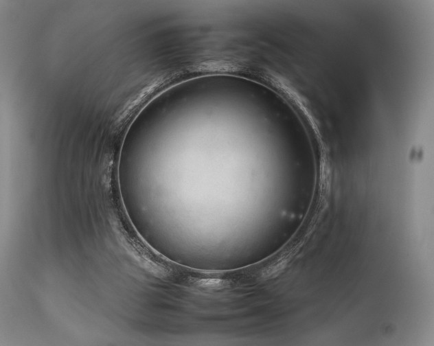 X0000111900153200907271206