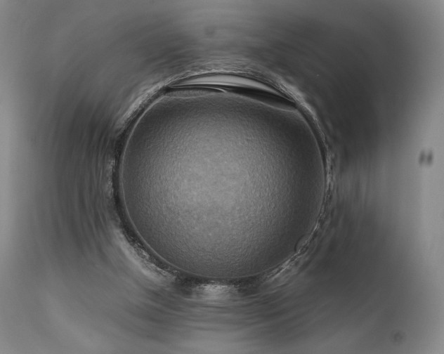 X0000111900154200907271206