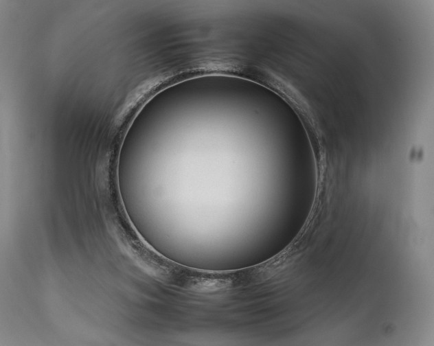 X0000111900155200907271206