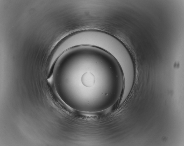 X0000111900156200907271206