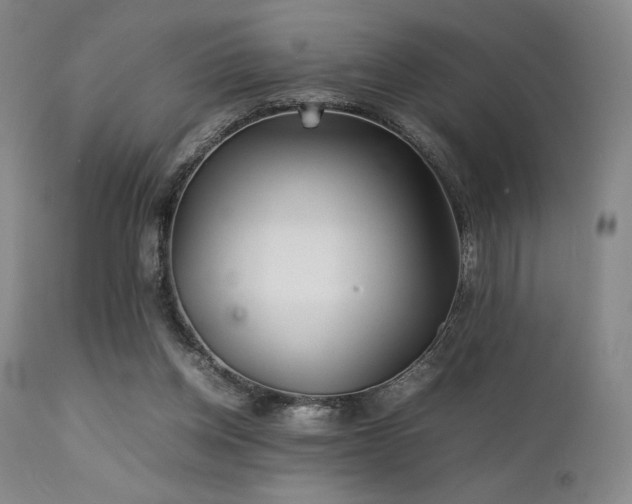 X0000111900158200907271206