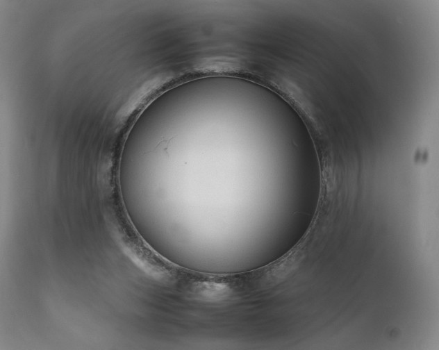 X0000111900159200907271206