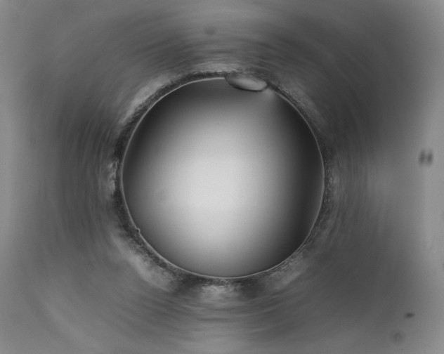 X0000111900160200907271206