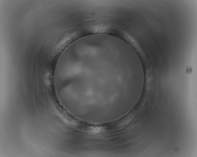 X0000111900161200907271206