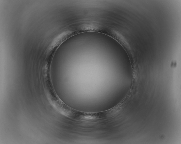 X0000111900163200907271206