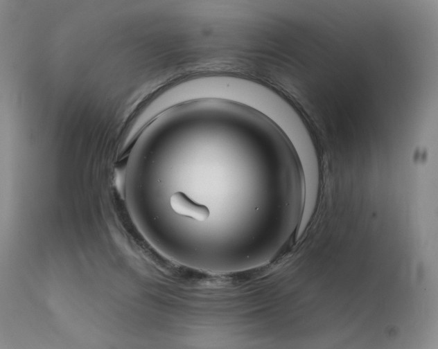 X0000111900164200907271206