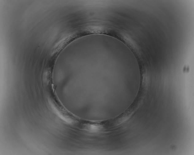 X0000111900165200907271206