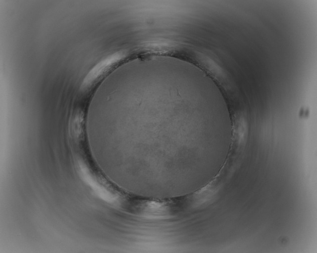 X0000111900166200907271206