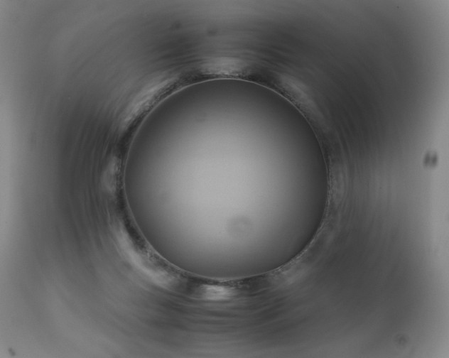 X0000111900167200907271206