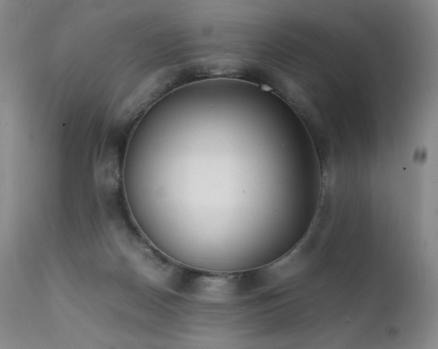 X0000111900170200907271206