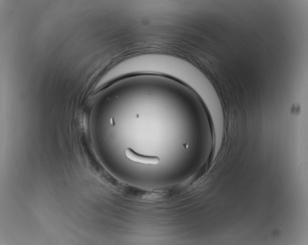 X0000111900172200907271206