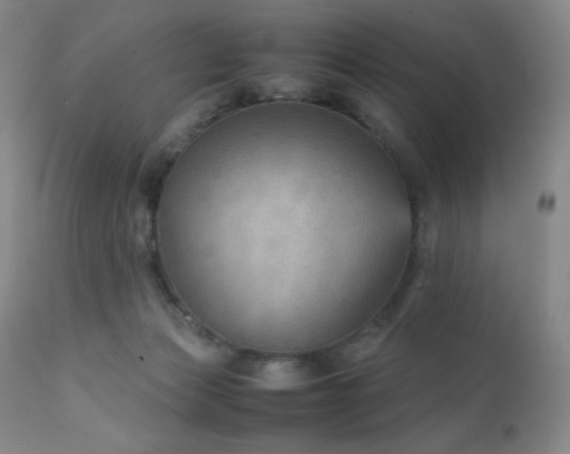 X0000111900173200907271206