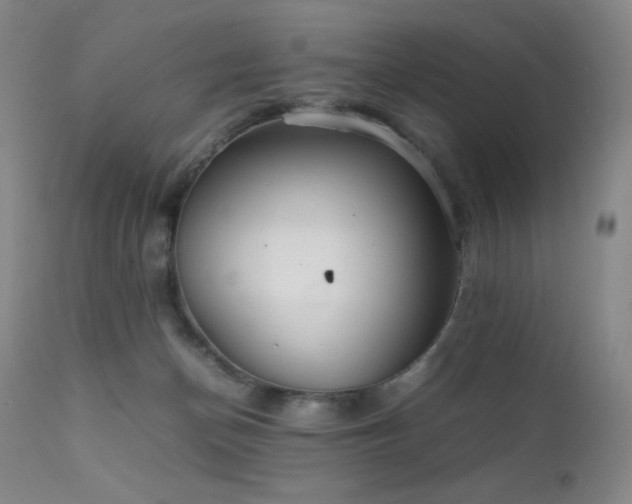 X0000111900174200907271207