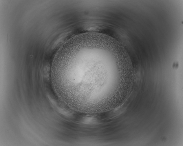 X0000111900175200907271207