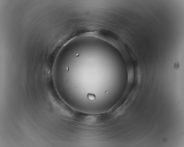 X0000111900176200907271207