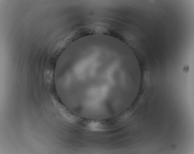 X0000111900177200907271207